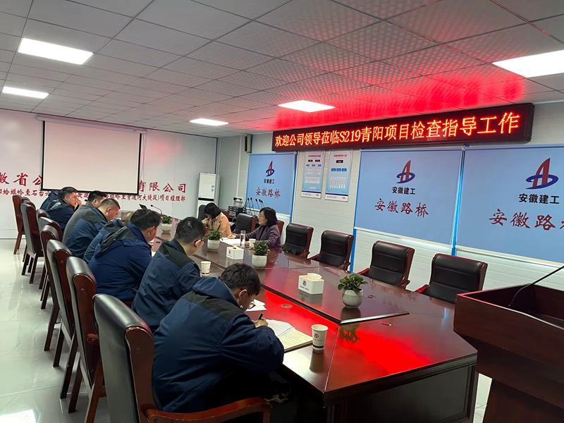 公司黨委委員、紀委書記王鵬到S219青陽改建項目調(diào)研指導工作